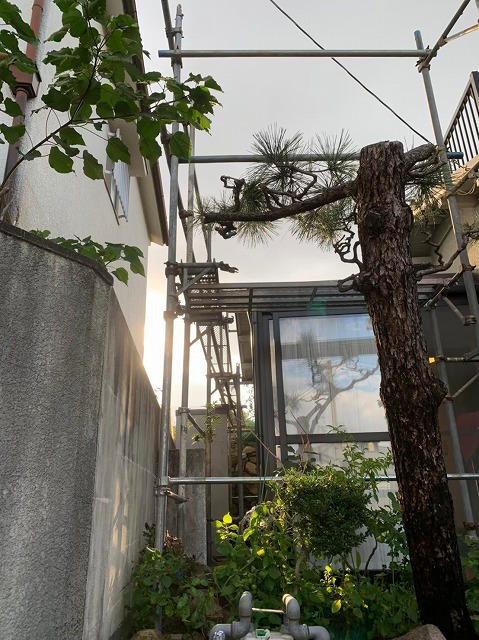 足場を建物を囲うように設置